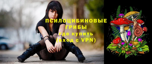 соль ск Аркадак