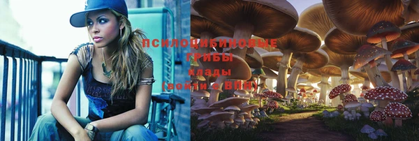 соль ск Аркадак